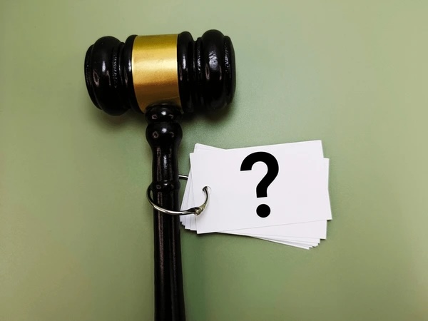  How Courts Interpret and Resolve Ambiguous Statutes