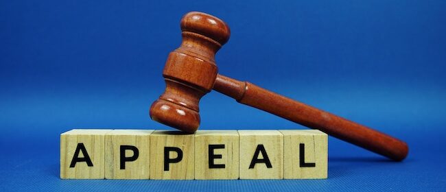  What It Means to Preserve an Issue for Appeal